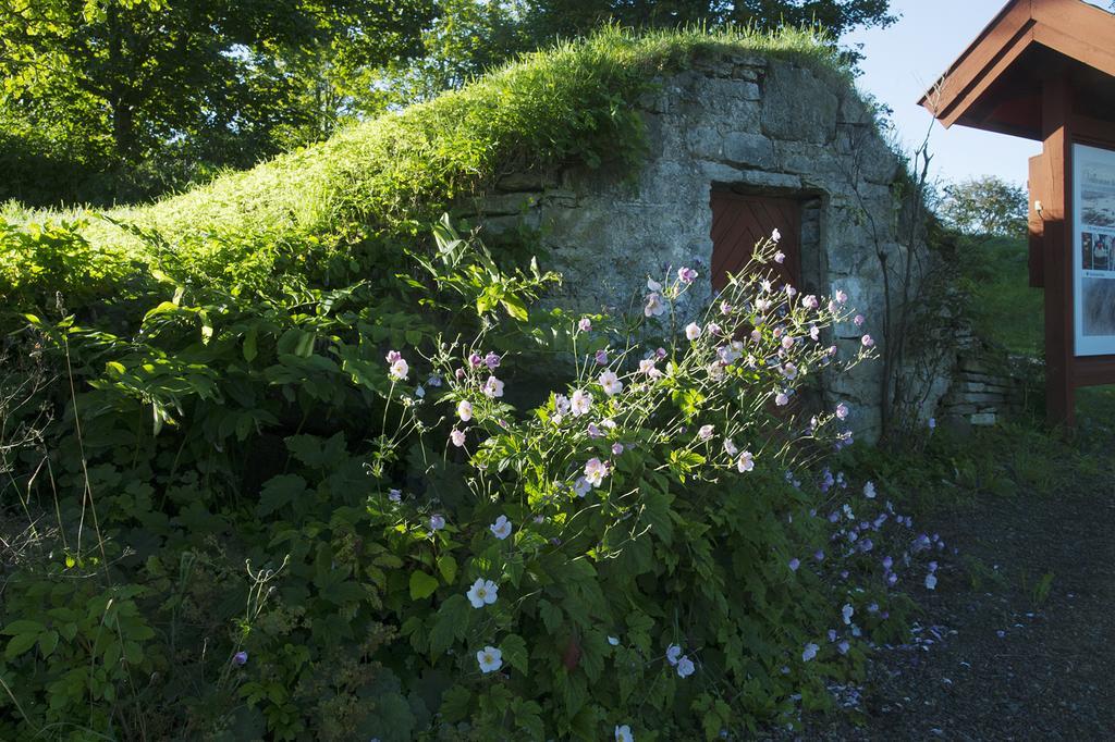 Loefwings B&B Broddetorp Eksteriør billede